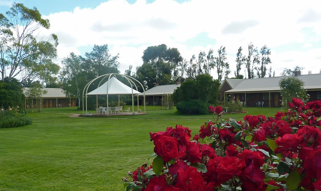 Coonawarra Place Motor Inn Екстериор снимка