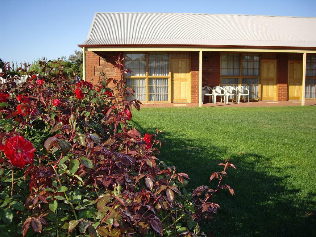 Coonawarra Place Motor Inn Екстериор снимка
