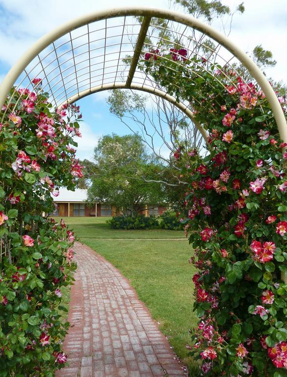 Coonawarra Place Motor Inn Екстериор снимка