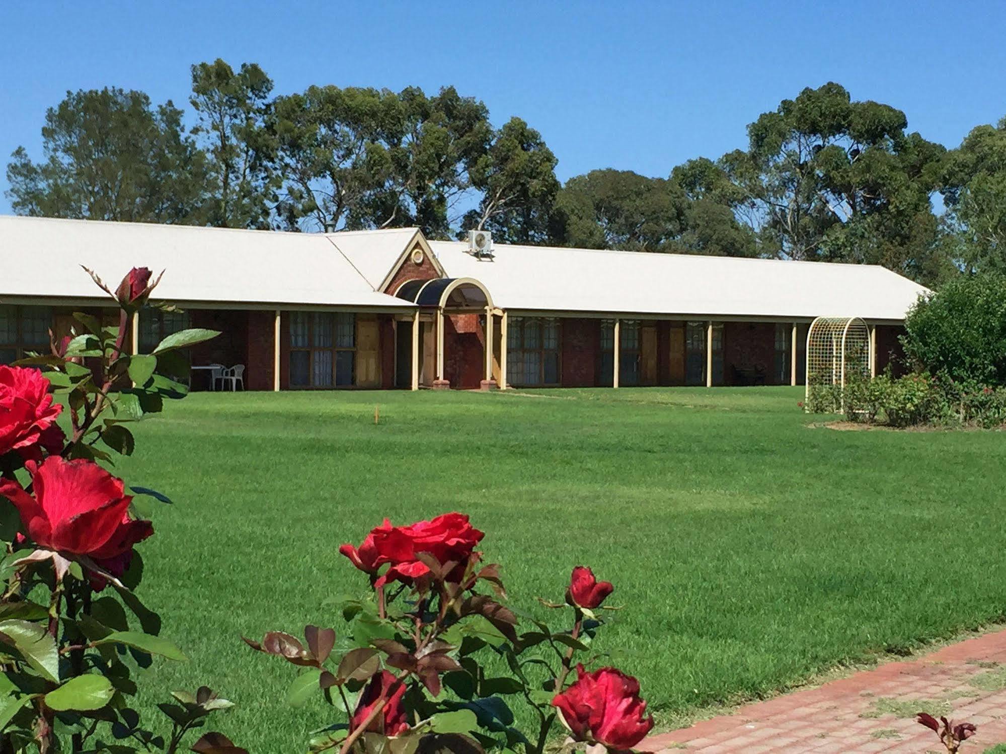 Coonawarra Place Motor Inn Екстериор снимка
