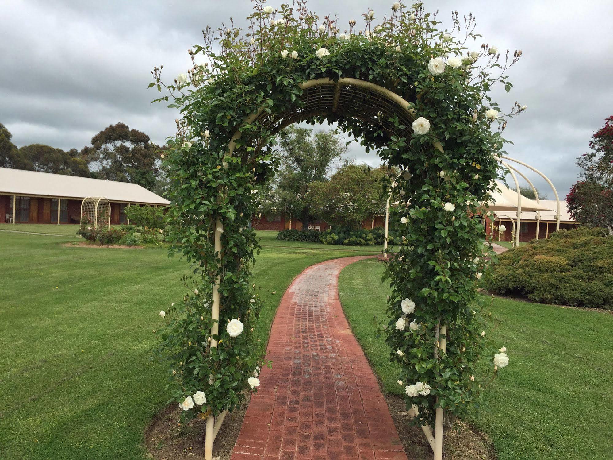 Coonawarra Place Motor Inn Екстериор снимка