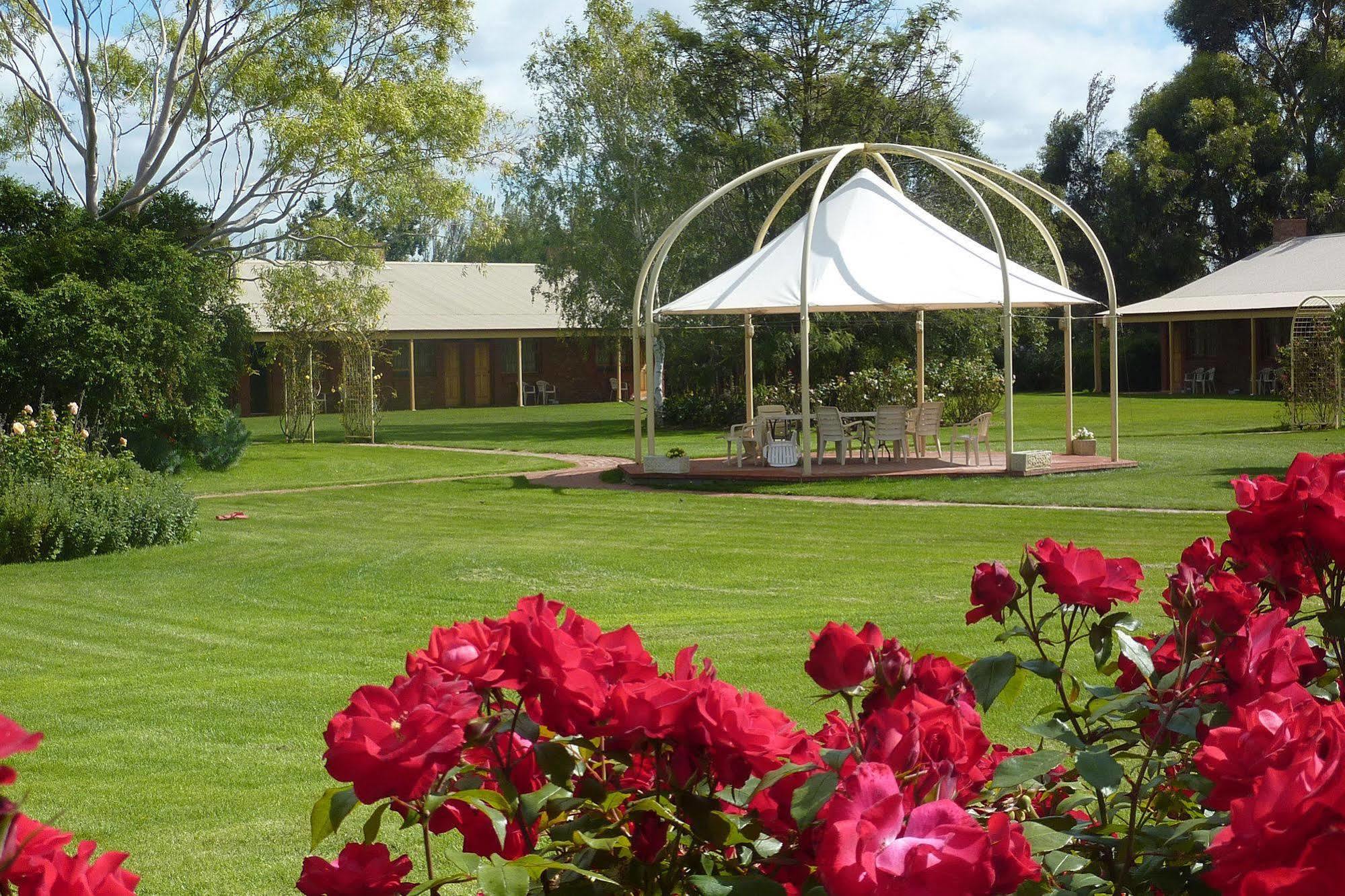 Coonawarra Place Motor Inn Екстериор снимка