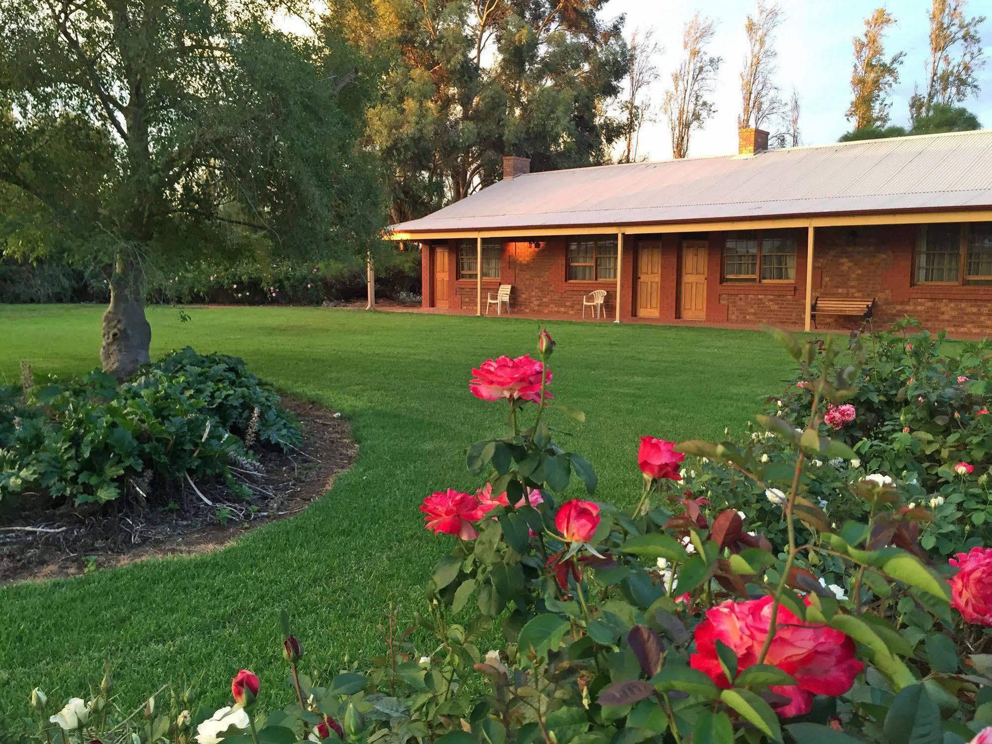 Coonawarra Place Motor Inn Екстериор снимка