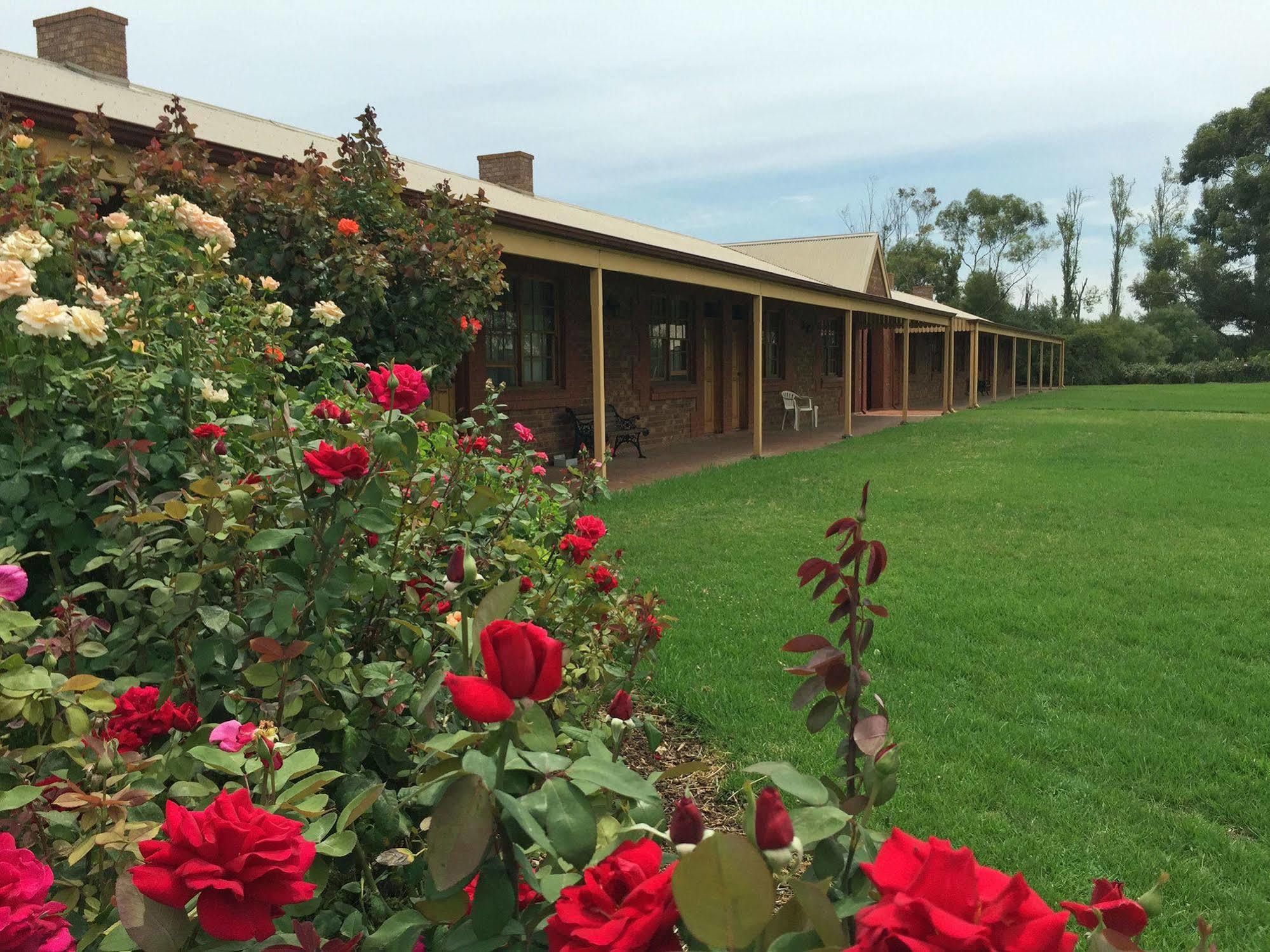 Coonawarra Place Motor Inn Екстериор снимка