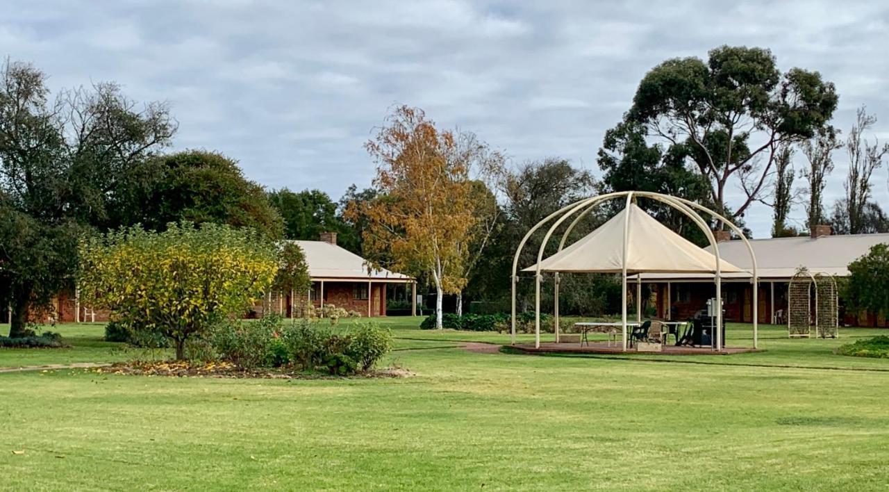 Coonawarra Place Motor Inn Екстериор снимка